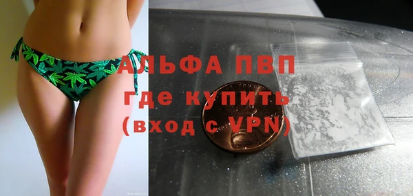 гашик Белокуриха