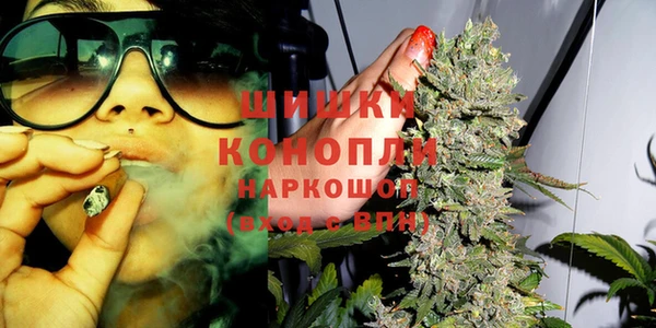 гашик Белокуриха