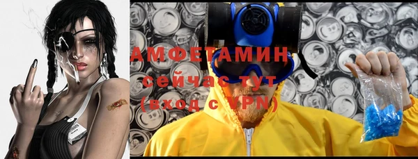 гашик Белокуриха