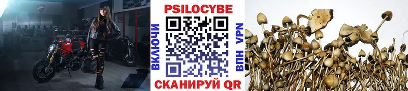 Галлюциногенные грибы мухоморы Вуктыл
