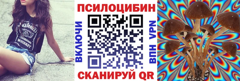 Псилоцибиновые грибы Psilocybe Вуктыл